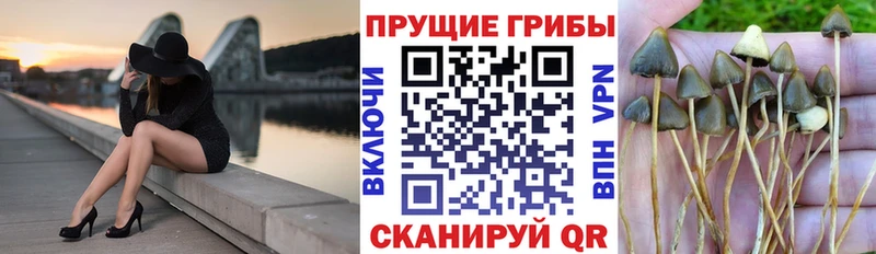 Псилоцибиновые грибы Magic Shrooms  наркота  Нерюнгри 