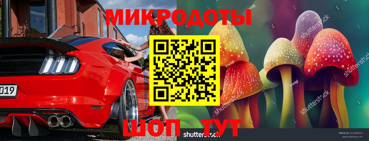 Нерюнгри  Псилоцибиновые грибы Cubensis  Вход с VPN 