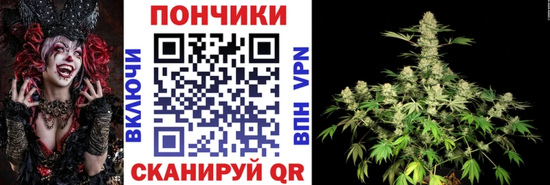 хочу   Нерюнгри  Бошки марихуана AK-47 